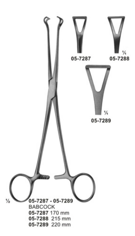 Lung Grasping Forceps